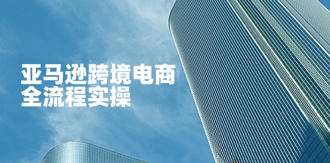 （14252期）亚马逊跨境电商全流程实操，教你从零开始，掌握店铺运营与广告技巧-众创网