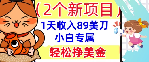 2个新项目，轻松挣美金， 1天收入89美刀，小白专属，干货分享-众创网