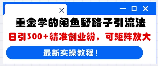 重金学的闲鱼野路子引流法，日引300+精准创业粉，可矩阵放大-众创网