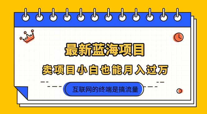 (14289期)2025年最新蓝海项目,卖项目小白也能月入过万-众创网