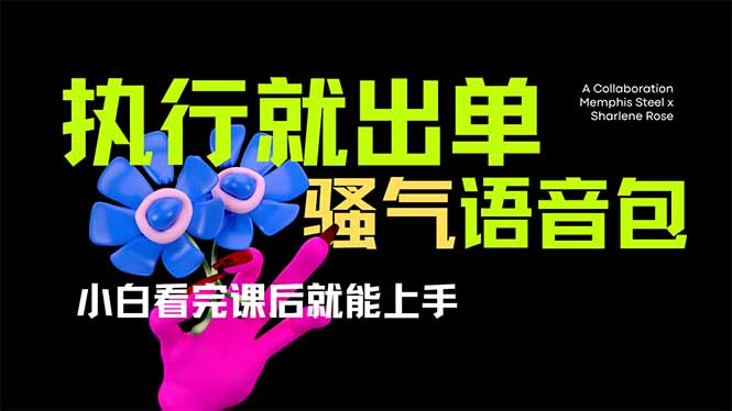 （14170期）爆火全网的开车导航骚气语音包,只要执行就出单，小白看完课程就能实操...-众创网