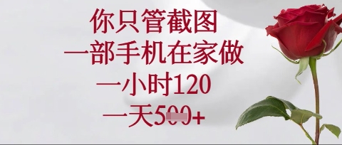 你只管截图,一部手机在家操作,一小时120.一天5张【揭秘】-众创网
